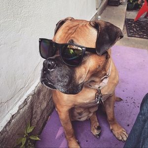 Meet your Posher, Marnie